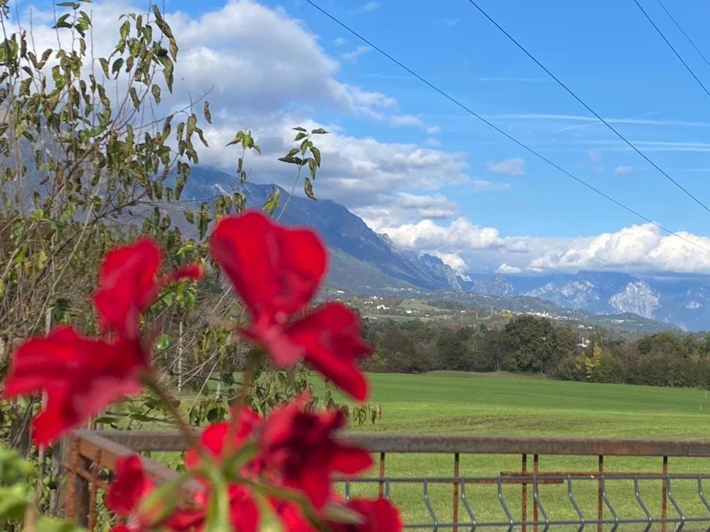 Il Mondo Roverso * Feltre